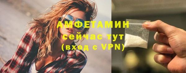 твердый Богородск