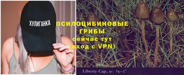 герыч Горнозаводск