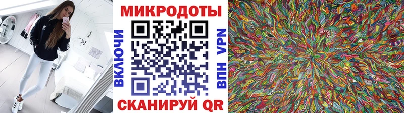 Псилоцибиновые грибы Psilocybine cubensis  Ижевск 